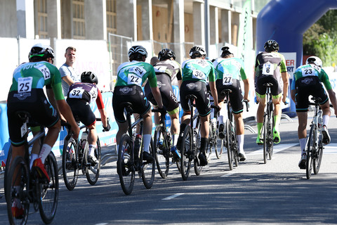 vartalonumero body number